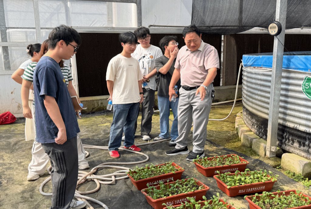 分拣中心的标准化流水线与冷链仓储体系