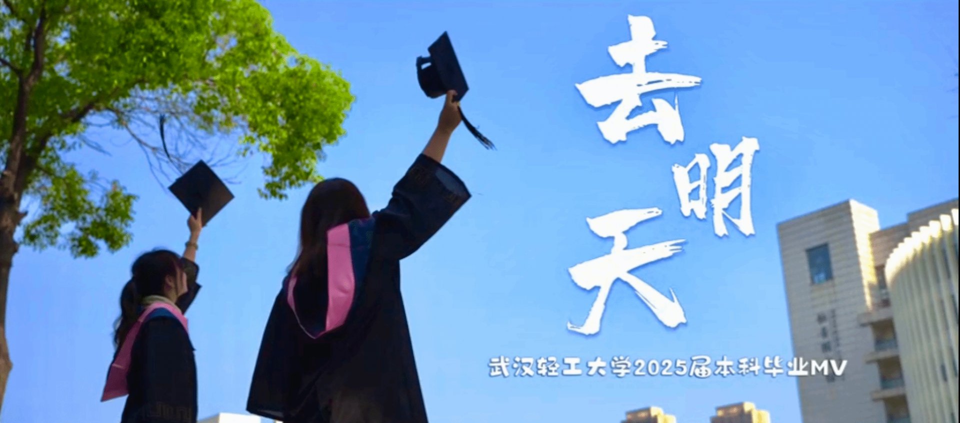 新闻网