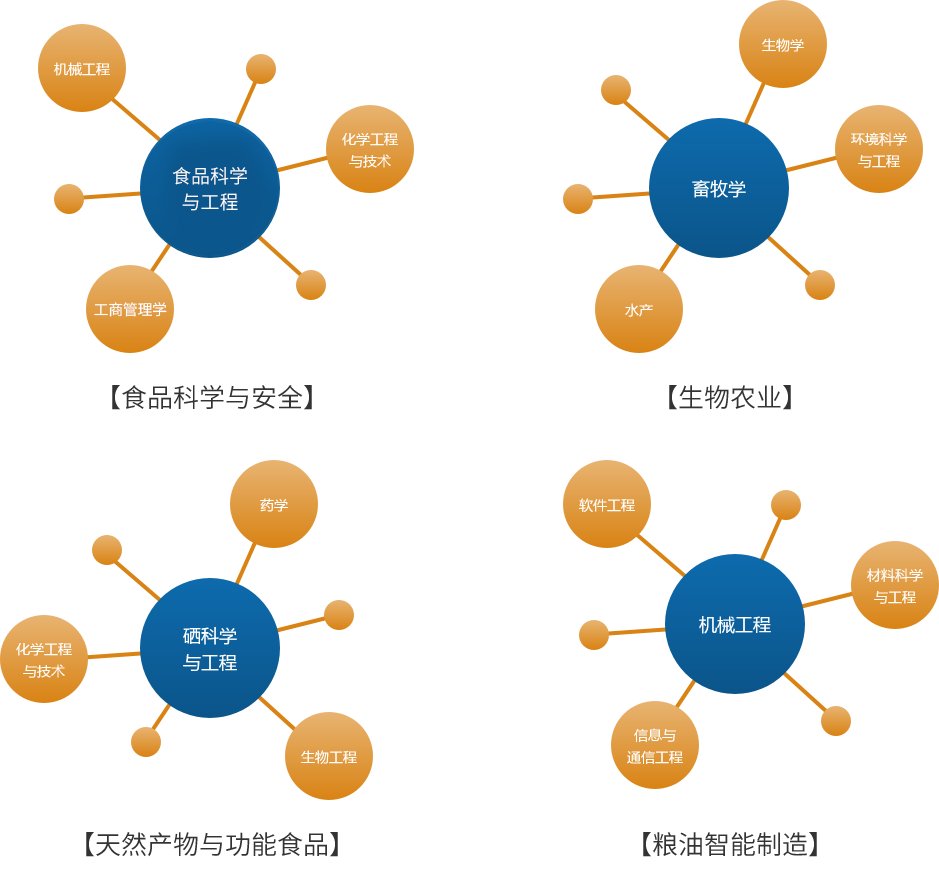 信息门户