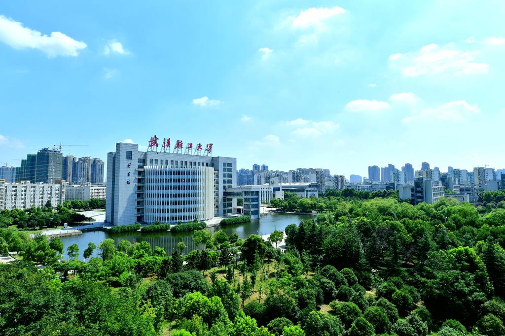 信息门户