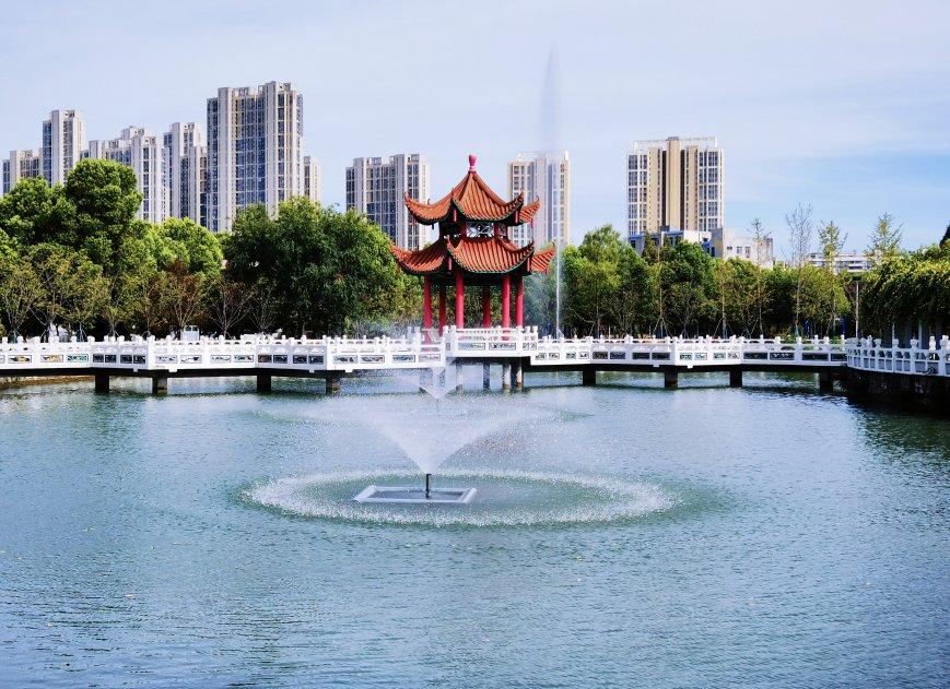 信息门户