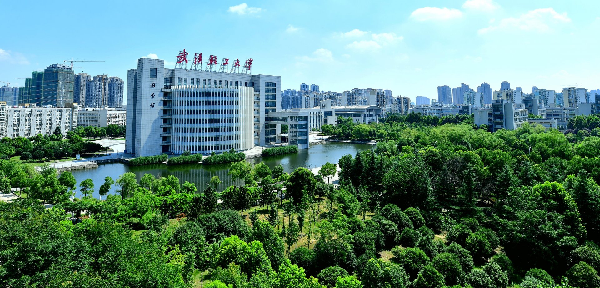 它广泛存在于绿色植物种子的胚芽中